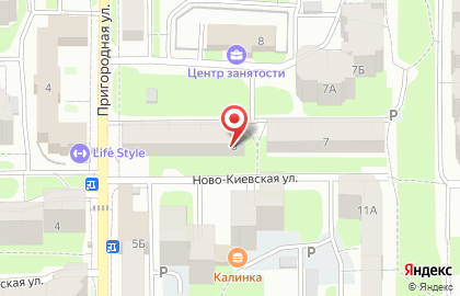 Магазин зоотоваров Кеша на Ново-Киевской улице на карте