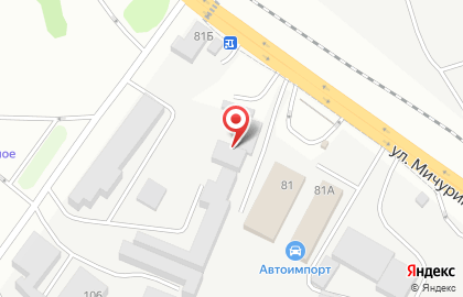 Гостиничный комплекс Мичуринский на карте