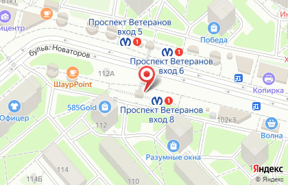 Магазин цветов Цветовик на проспекте Ветеранов на карте