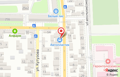 Магазин Автопластик на улице Ватутина на карте