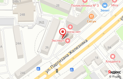 Дачное некоммерческое партнерство Синегорье на улице Партизана Железняка на карте
