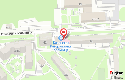 Казанская Ветеринарная Больница на карте