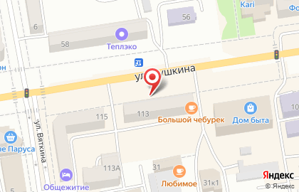 Виола на улице Пушкина на карте