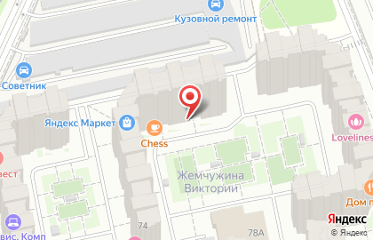 Зоомагазин Нос и хвост на проспекте Ленина на карте