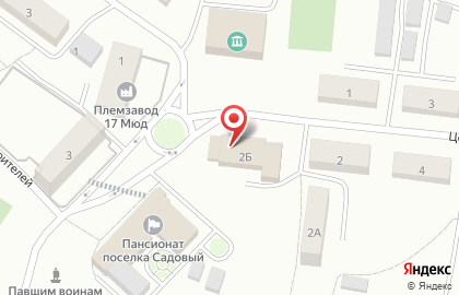Магазин Хмельной погребок на Центральной улице на карте