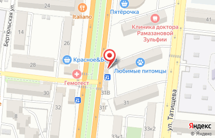 Студия по оформлению воздушными шарами Астра-шар на карте