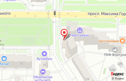 Шинный центр Vianor на проспекте Максима Горького на карте