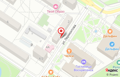 Ветеринарная аптека Дикси на улице Лермонтова на карте