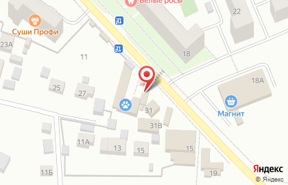 Продовольственный магазин на Центральной улице на карте