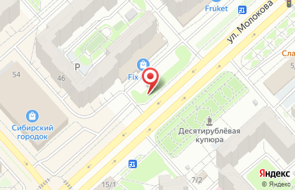 Центр фейерверков на улице Молокова на карте