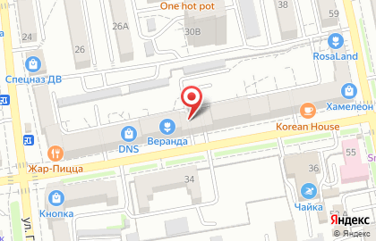Коррекционный центр Речь на улице Пушкина на карте