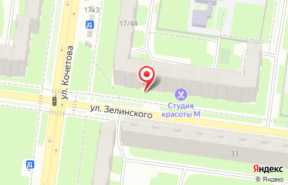 Зоомагазин Четыре лапы на улице Зелинского на карте