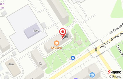 Супермаркет Пятёрочка на проспекте Александра Невского на карте