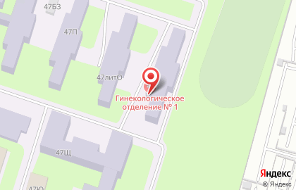 Клиническая больница им. Петра Великого на Пискарёвском проспекте на карте