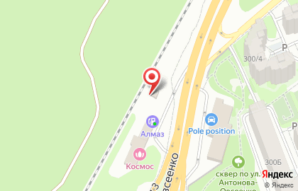 Шиномонтажная мастерская на улице Антонова-Овсеенко на карте
