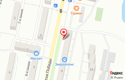 Ветеринарная клиника Зверополис в Челябинске на карте