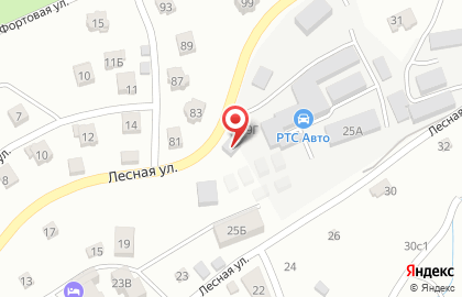 Платформа на Лесной на карте