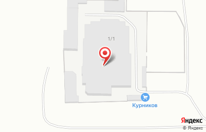 Фирменный отдел мяса птицы Ив.Курников в Ленинском районе на карте