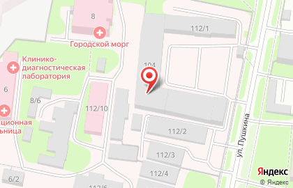 Шиномонтажная мастерская на улице Пушкина на карте