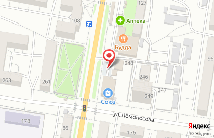 Море рыбы в Благовещенске на карте