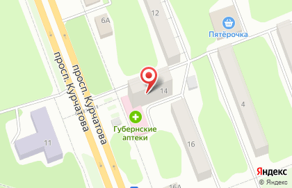 Магазин свежего мяса на проспекте Курчатова на карте