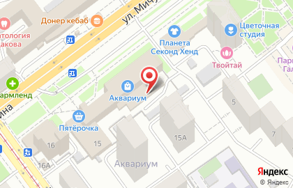 Вита, Ленинский район на улице Мичурина на карте