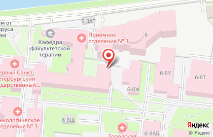 Центр лабораторной диагностики ПСПбГМУ им. И.П. Павлова Минздрава России в Петроградском районе на карте