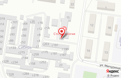Кафе Сибирь на улице Мичурина на карте