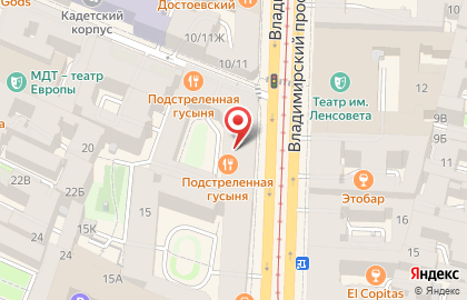 Сетка, ООО Сотка на Владимирском проспекте на карте