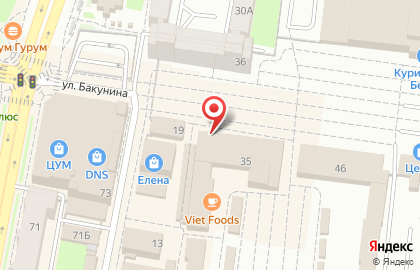 Магазин Рубль Бум на улице Бакунина на карте