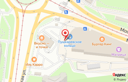 Федеральная сеть по продаже GPS-навигаторов, радар-детекторов и видеорегистраторов Авто-дрон на Московском шоссе, 91 на карте