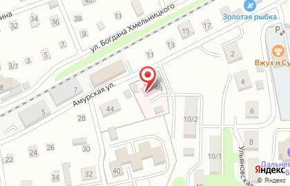 Приморская ветеринарная служба на Амурской улице на карте