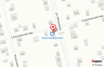 Магазин Красное & Белое на улице Мичурина, 61 на карте