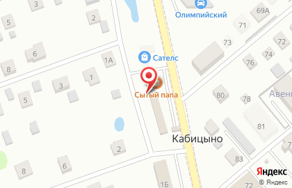 Компания Satels на Обнинской улице на карте