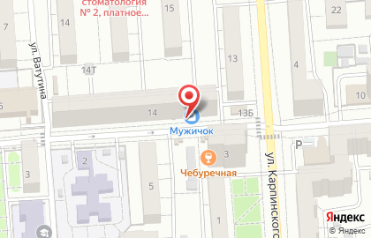 Магазин строительно-хозяйственных товаров Мужичок в Политехническом переулке на карте