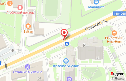 Константа на Московском шоссе на карте