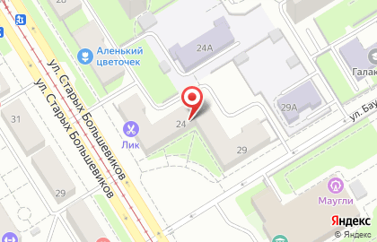 Сервисный центр Электрон на улице Старых Большевиков на карте