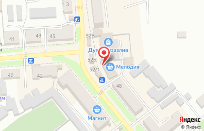 Фирменный магазин замороженных полуфабрикатов Элика на улице Ленина на карте