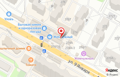 Магазин зоотоваров в Коминтерновском районе на карте