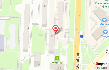 Магазин Зоомаркет в Челябинске на карте