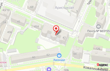 Торговая компания Внешхимопт в Нижегородском районе на карте