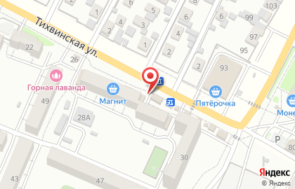 Магазин мясной продукции Стадниченко на Тихвинской улице на карте