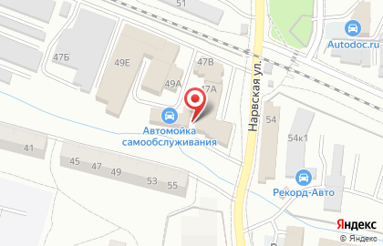 Fest-Калининград на карте