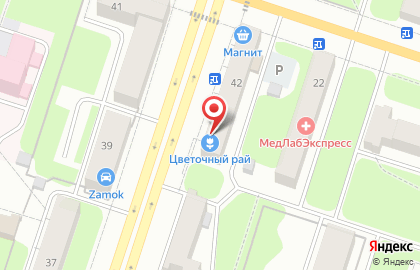 Салон цветов Цветочный рай на проспекте Ленина на карте