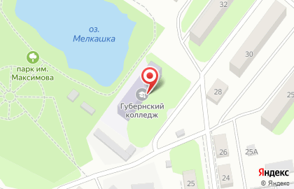 Борский Губернский колледж в Нижнем Новгороде на карте