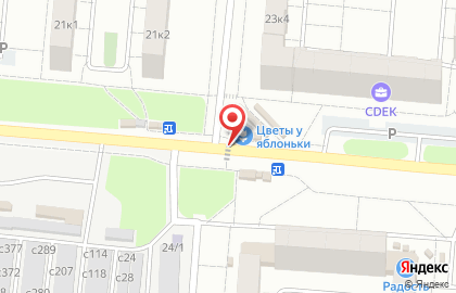 Салон цветов и сувениров Цветы у яблоньки в Центральном районе на карте
