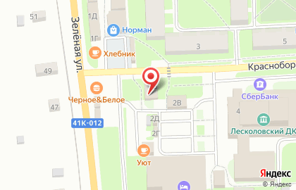 Магазин автотоваров на Красноборской улице на карте