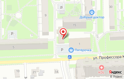 Магазин косметики и бытовой химии Магнит Косметик на улице Профессора Камая на карте