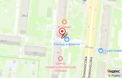 Продовольственный магазин на улице Ломоносова на карте