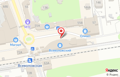 Зоомагазин PetShop.ru на Всеволожском проспекте на карте
